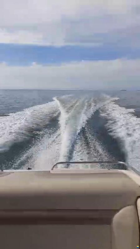 Chaparral 2335 SS