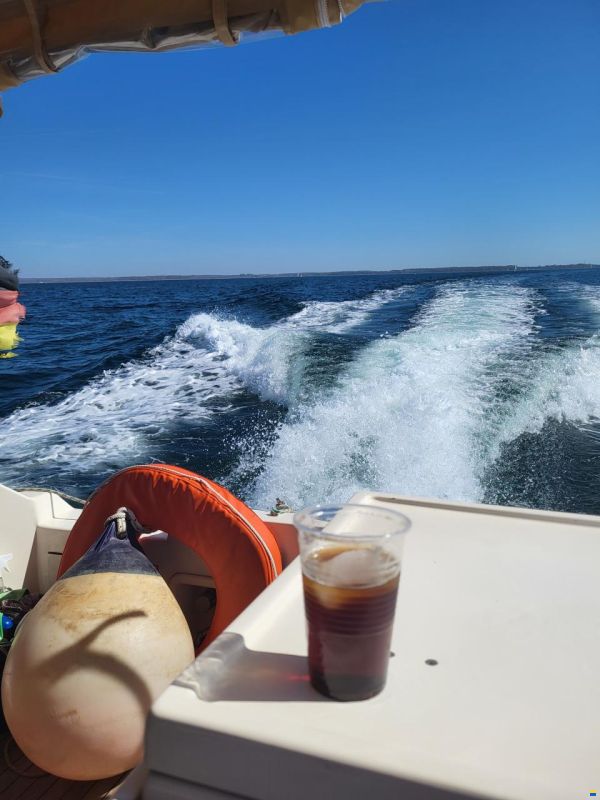 Cranchi Mediterranee 40