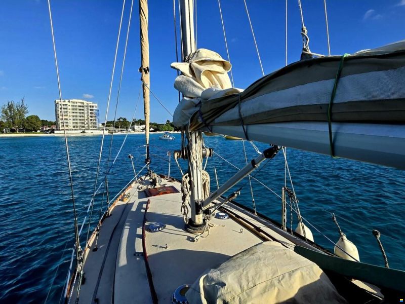 Camper & Nicholsons 36