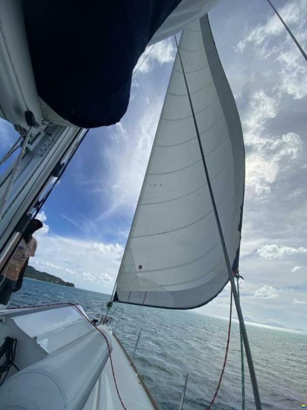 Jeanneau 519