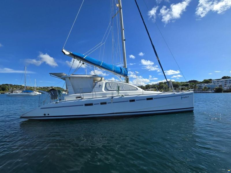 Leopard 43