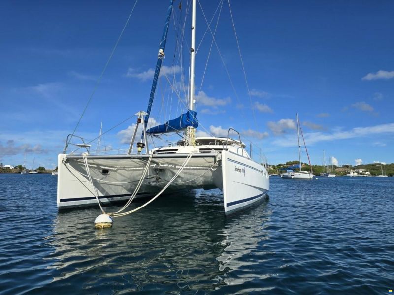 Leopard 43