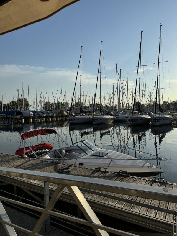 Stingray 220 CX