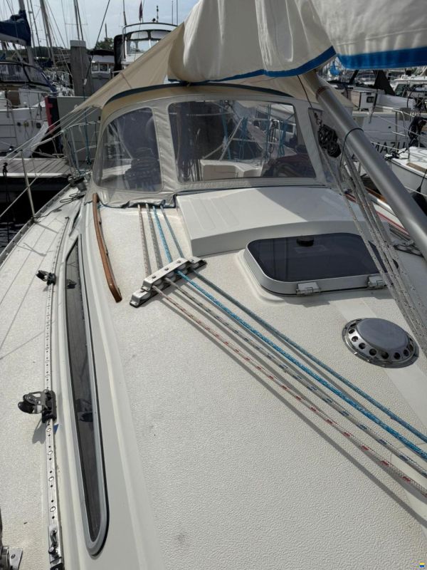 Fabola Diva 35