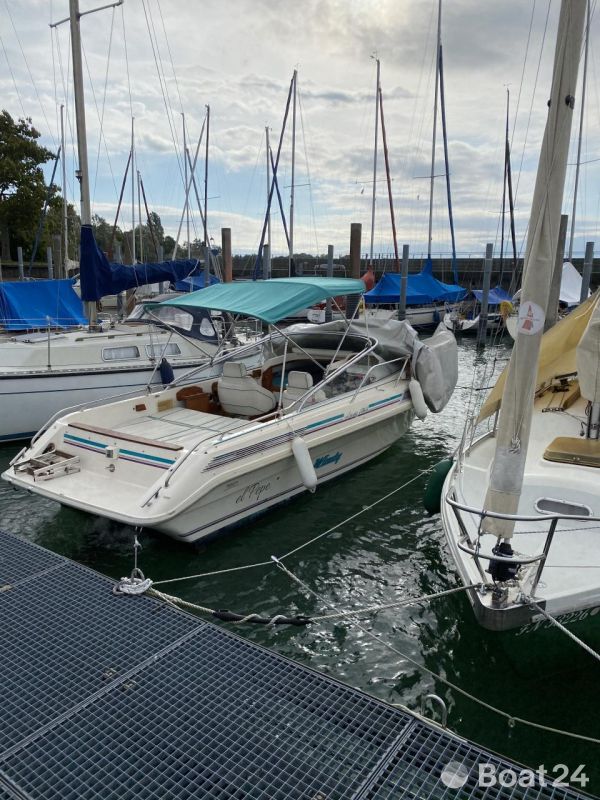 Windy 7800