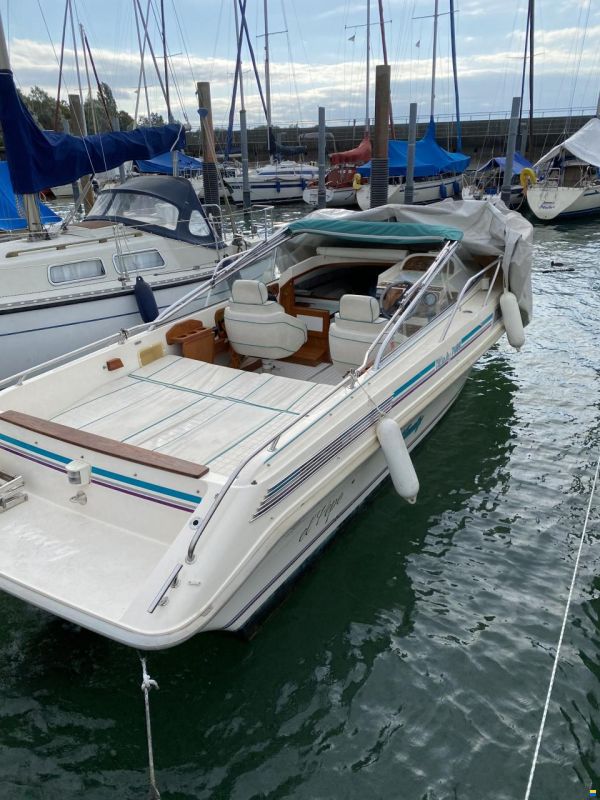 Windy 7800