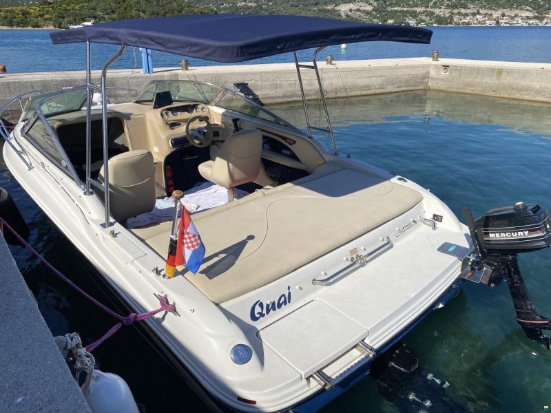 Sea Ray 190 Daycruiser