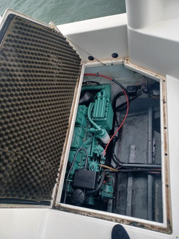 Dellapasqua DC 8