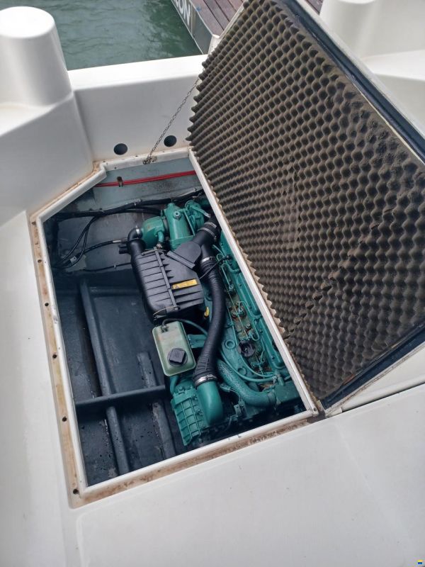 Dellapasqua DC 8
