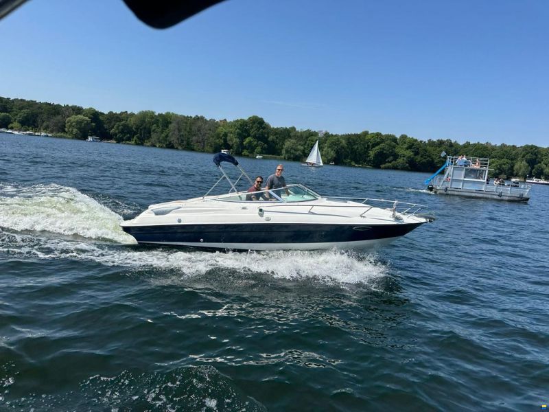 Viper 243