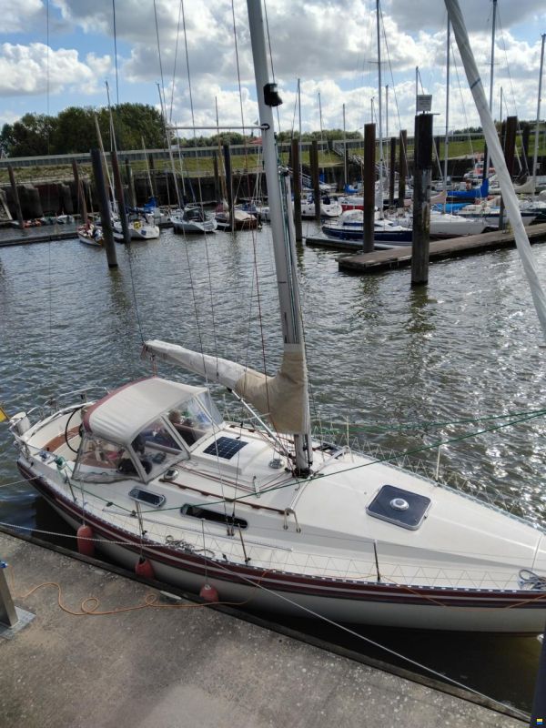 Scanmar 33