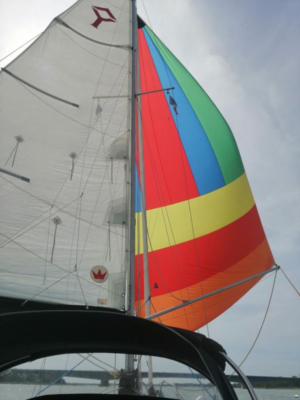 Ypton 22