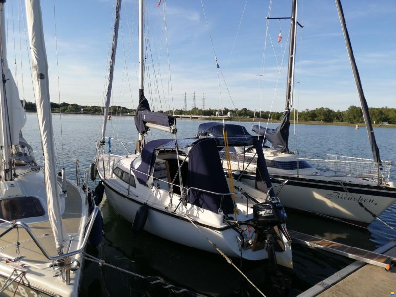Ypton 22