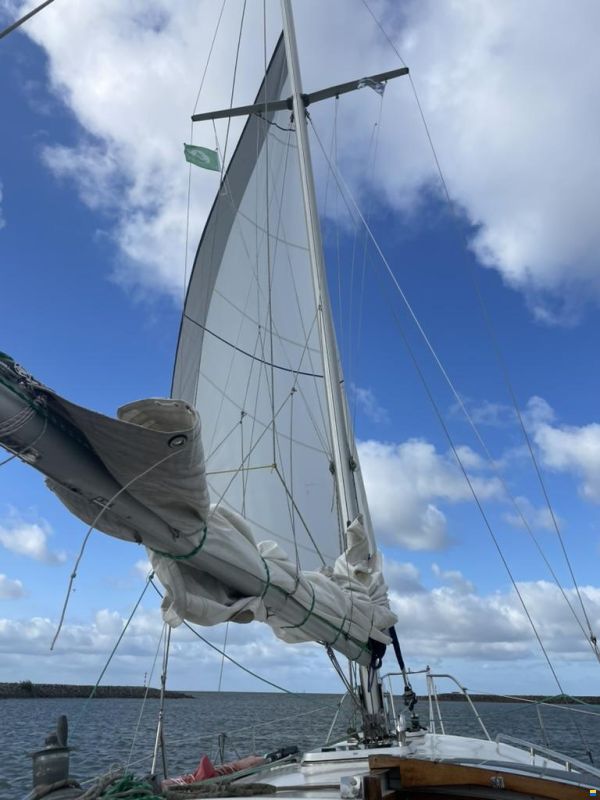Scheldeschouw 9 meter