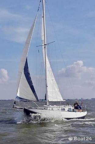 Scheldeschouw 9 meter