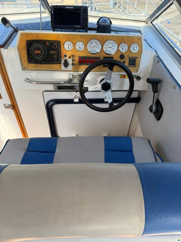 Cruisers International Holiday