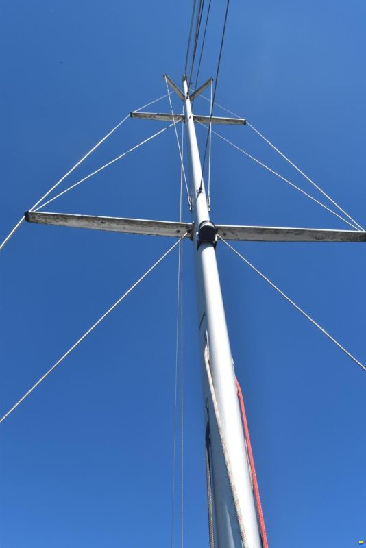 Koopmans 36 Woodcore