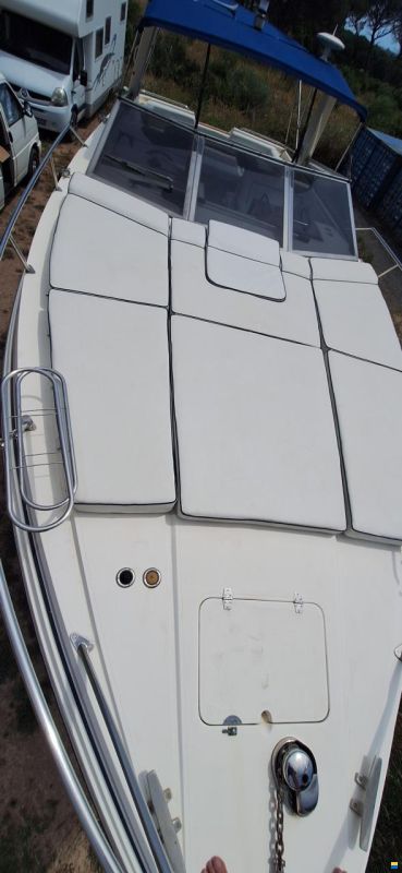 Sunseeker Sunseeker