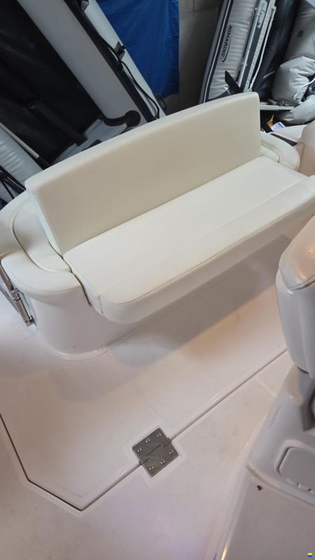 Regal Cruiser 3060