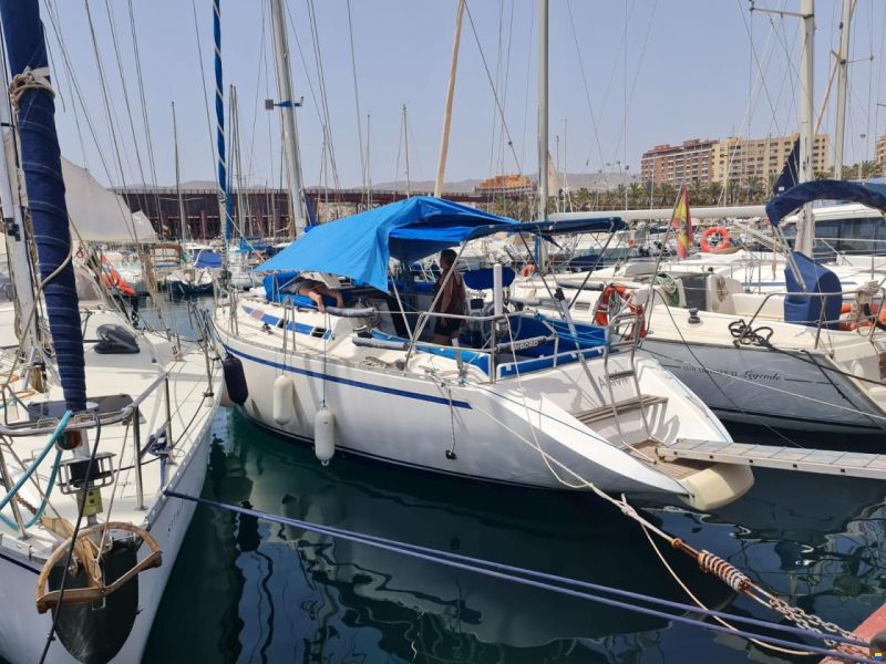 BRISA 40