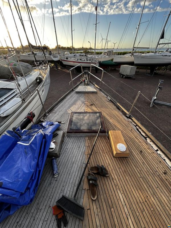 Hartley Golden Corwie 37
