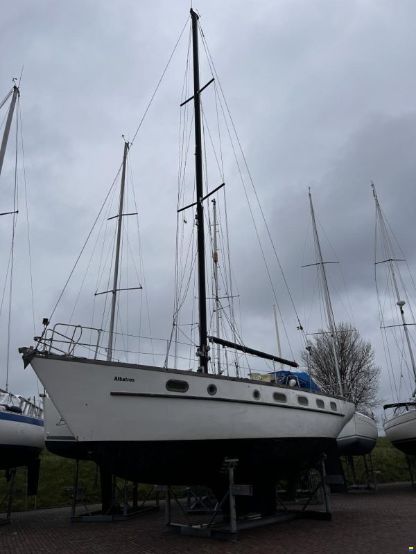 Hartley Golden Corwie 37
