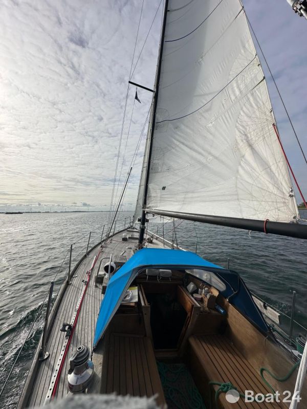 Hartley Golden Corwie 37