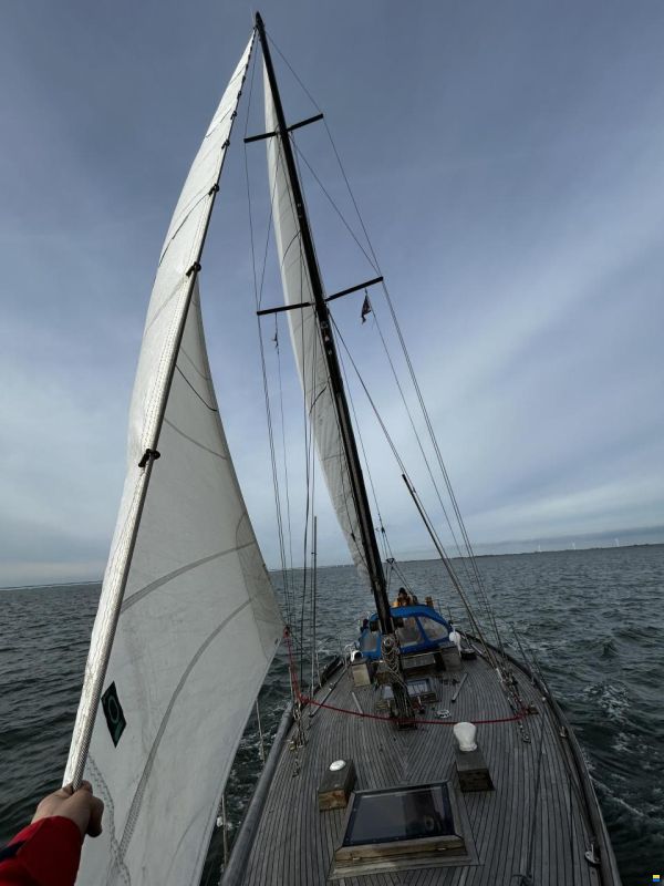 Hartley Golden Corwie 37