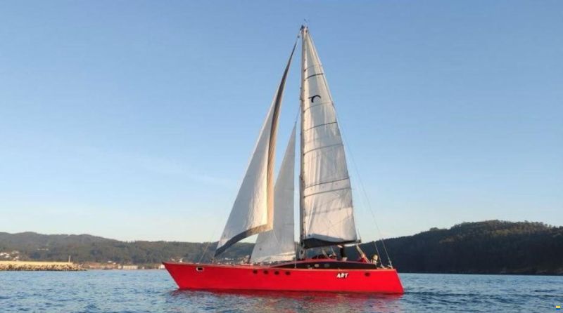 Wadvogel 38