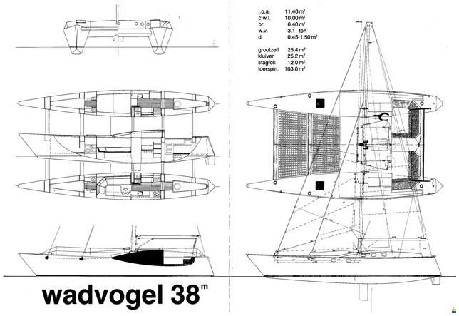 Wadvogel 38
