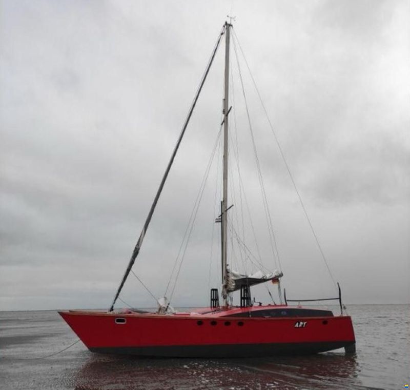 Wadvogel 38