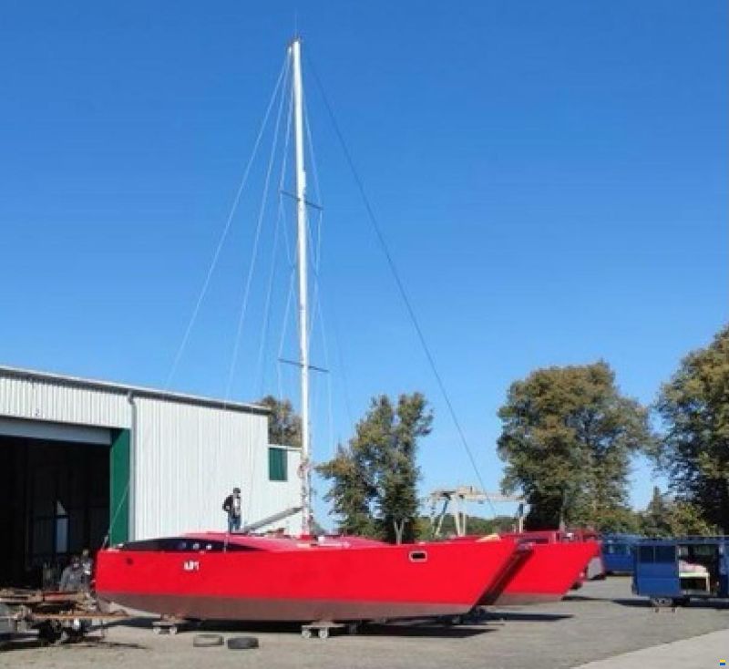 Wadvogel 38