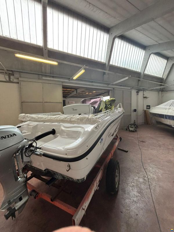 Ranieri Voyager 17