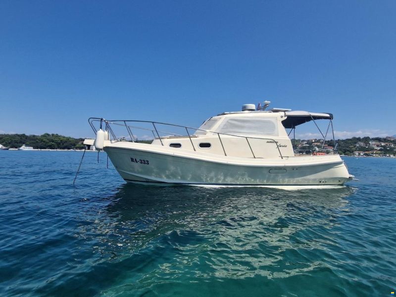 Damor Furia 900