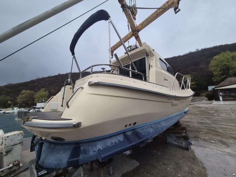 Damor Furia 900