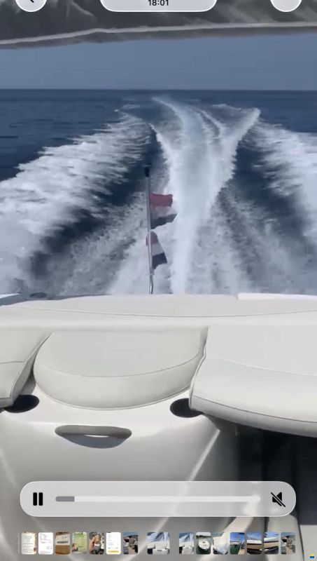 Bayliner Cuddy 212
