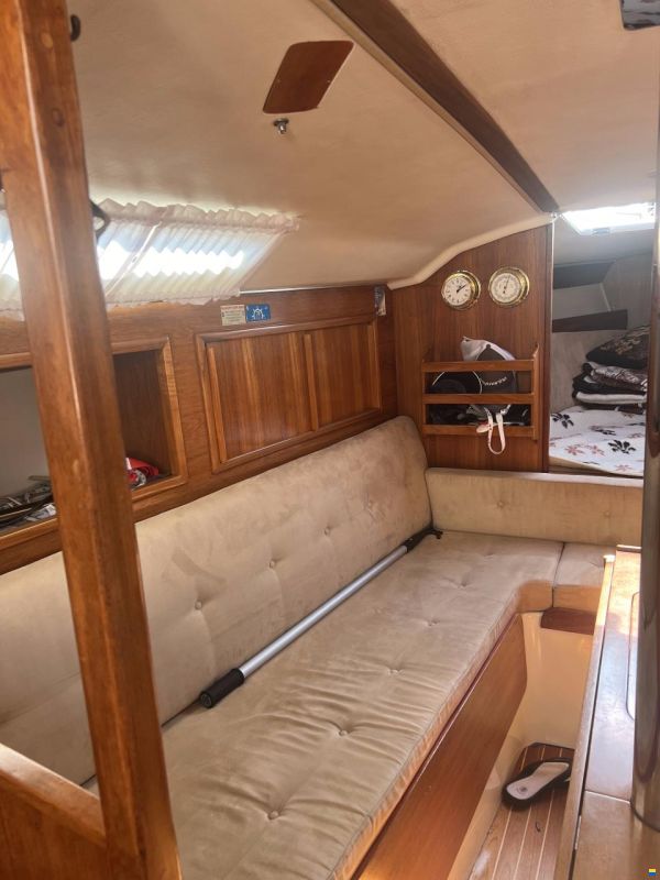 Comfort 32
