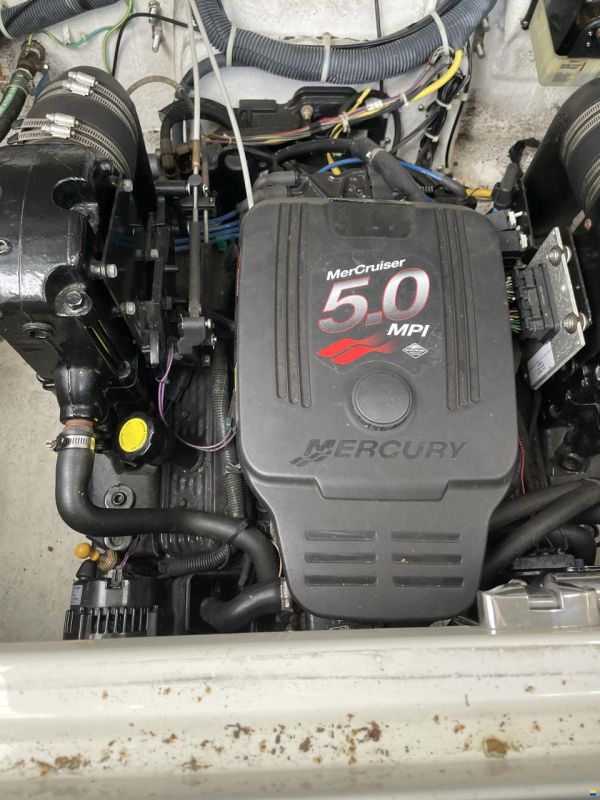 Maxum 26 SE