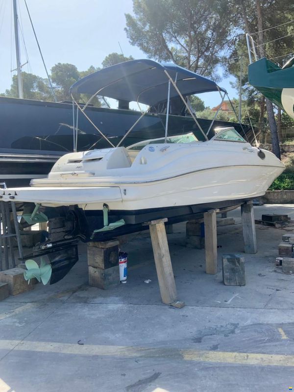 Sea Ray Sundeck 240