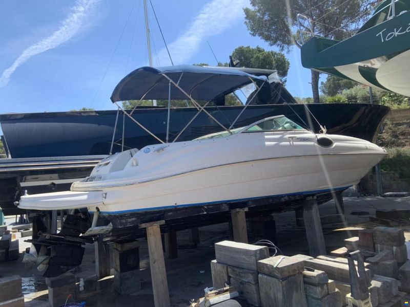 Sea Ray Sundeck 240
