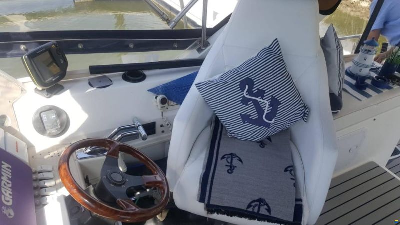 Cruisers 3950