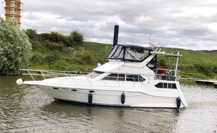 Cruisers 3950