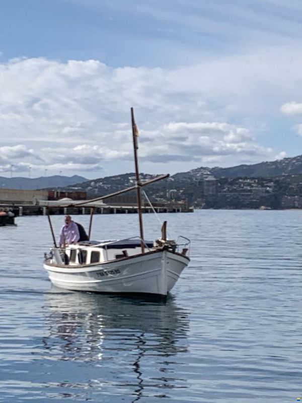 Tiburon 36
