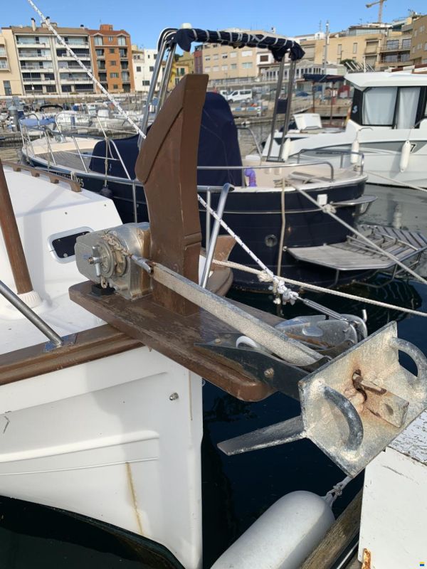 Tiburon 36