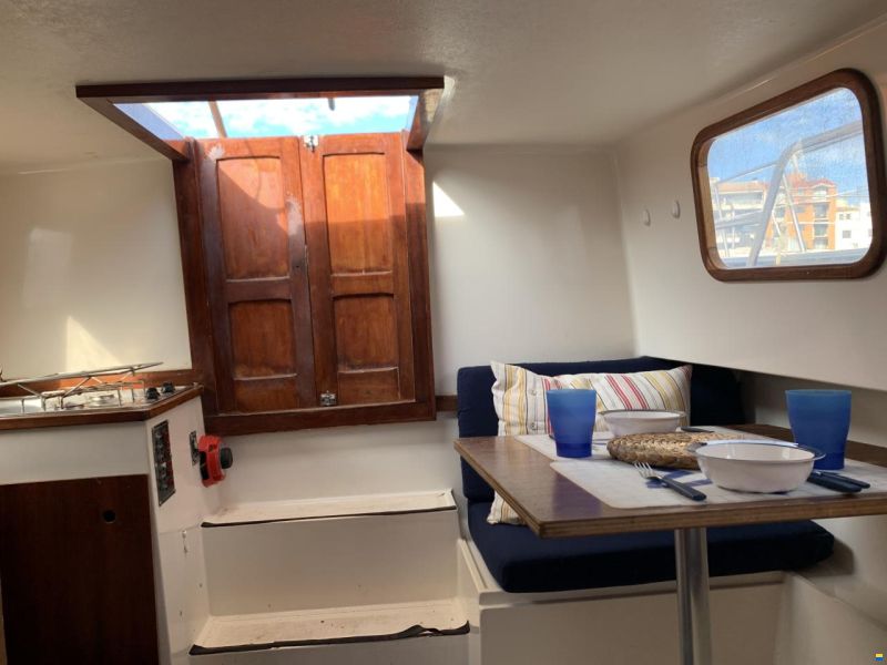 Tiburon 36