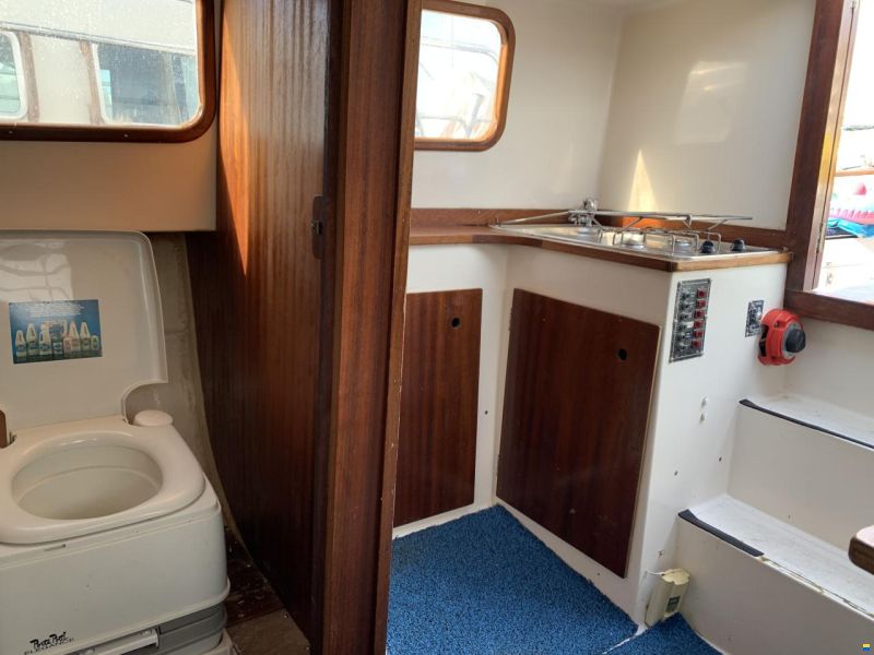 Tiburon 36