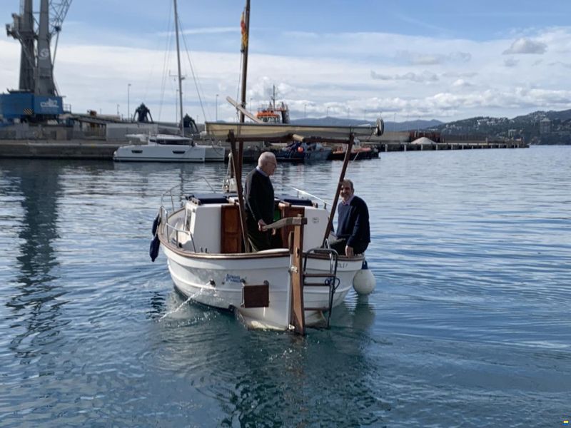 Tiburon 36