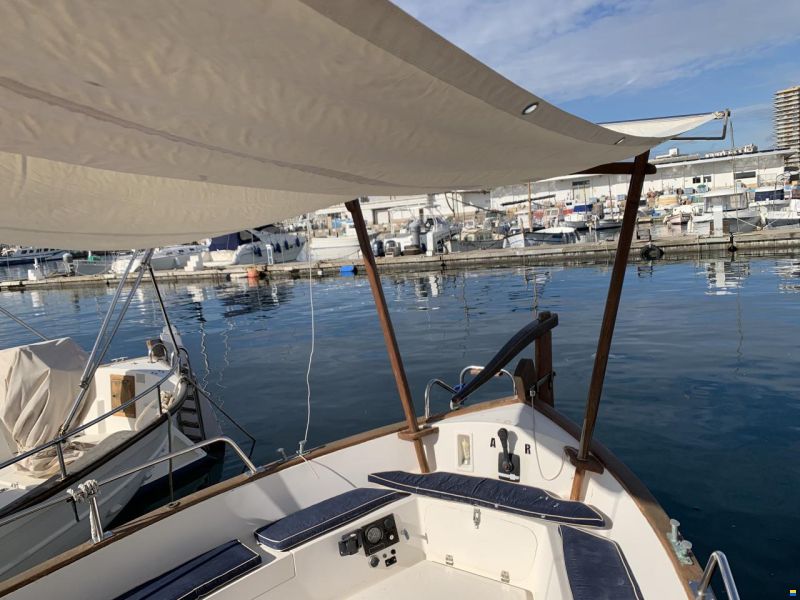 Tiburon 36