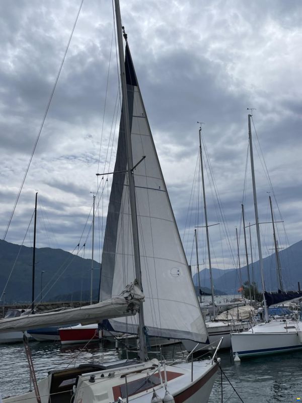 Dehler Dehlya