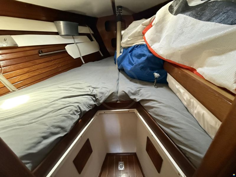 VAN HULLE MULTI 33